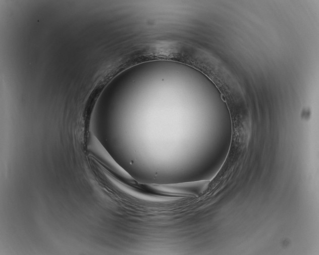 X0000097970552200803241238