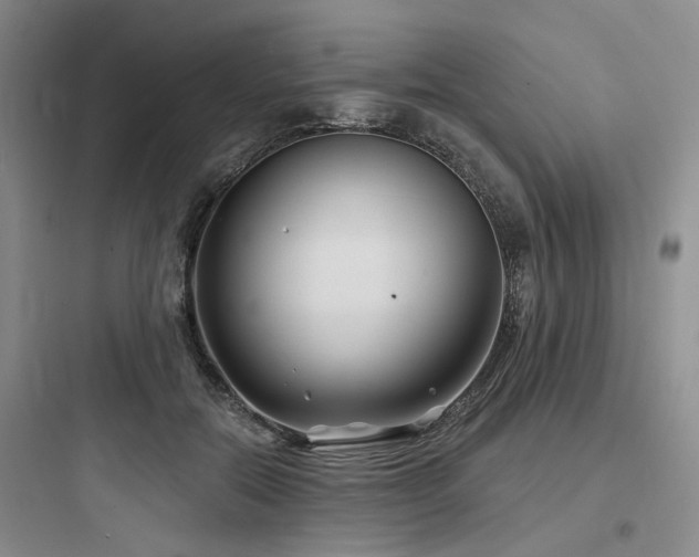 X0000097970554200803241238