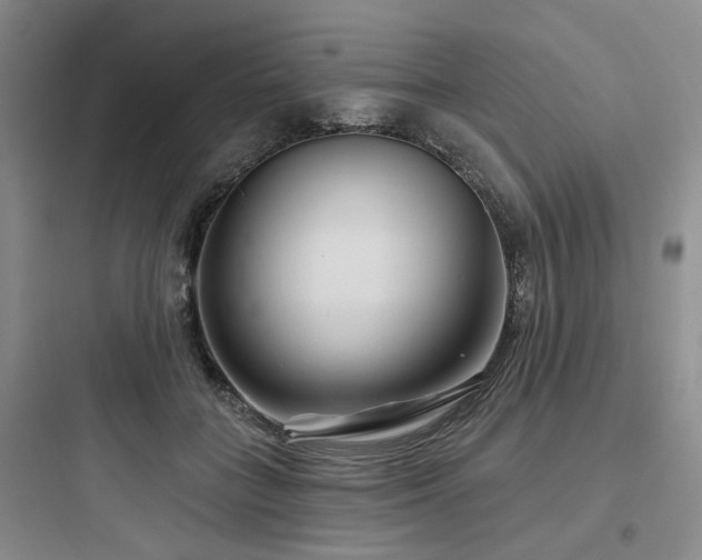 X0000097970555200803241238