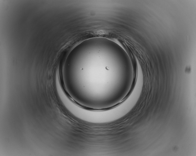 X0000097970556200803241238