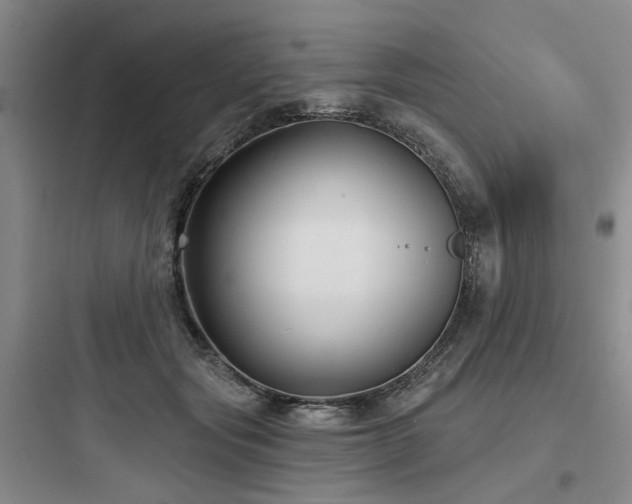 X0000097970557200803241238