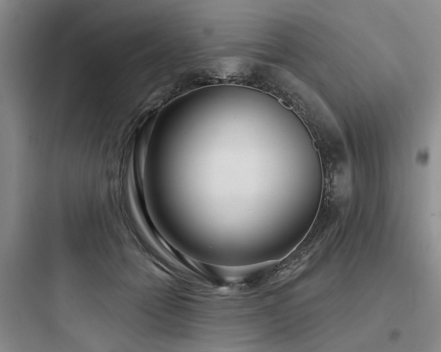 X0000097970558200803241238