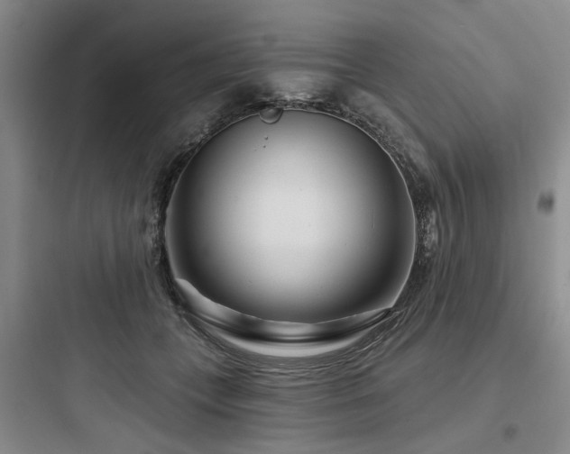 X0000097970559200803241238