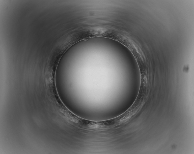 X0000097970561200803241238