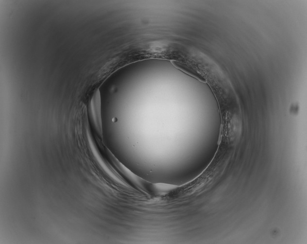 X0000097970562200803241238