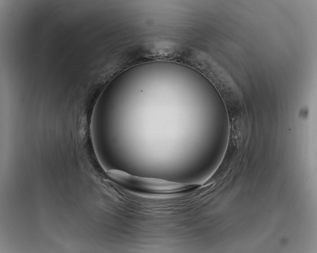 X0000097970563200803241238