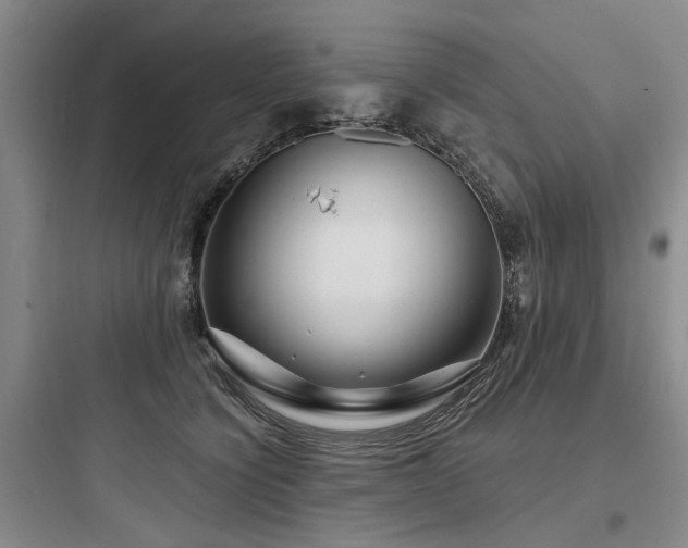 X0000097970564200803241238