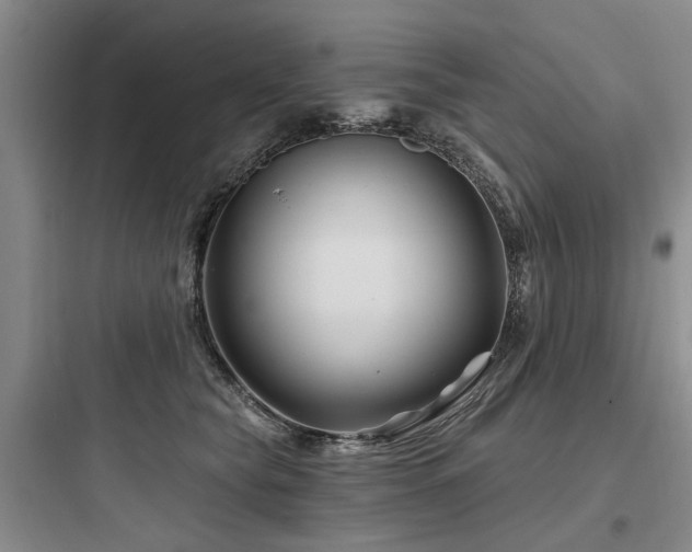 X0000097970565200803241238