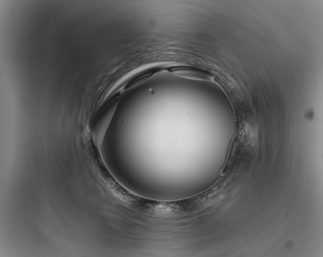 X0000097970566200803241238