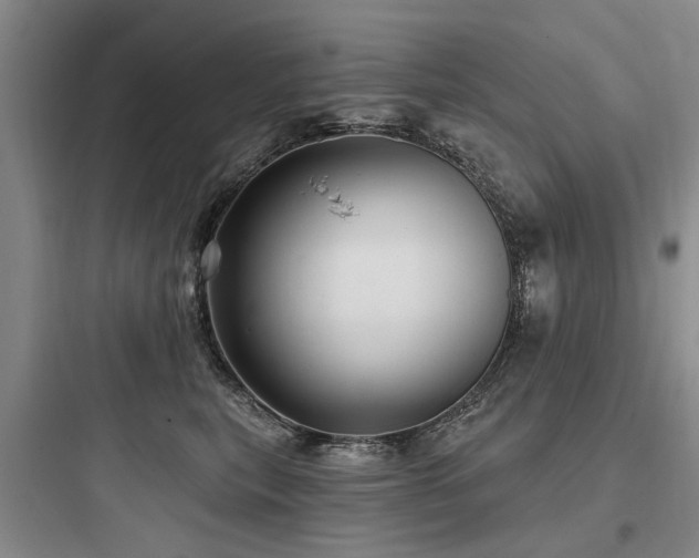 X0000097970567200803241238