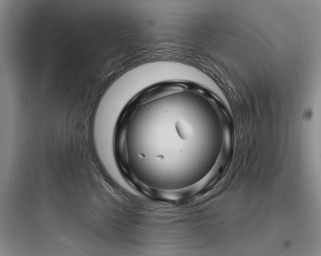 X0000097970568200803241238