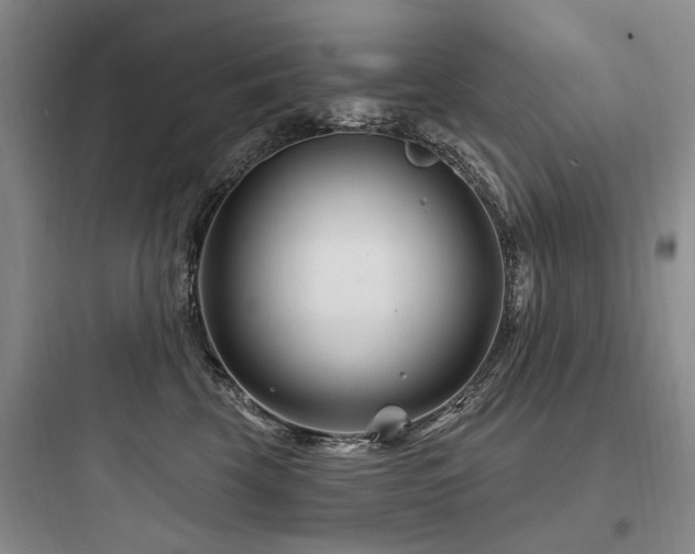 X0000097970569200803241238