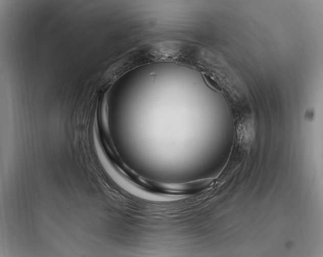 X0000097970570200803241238