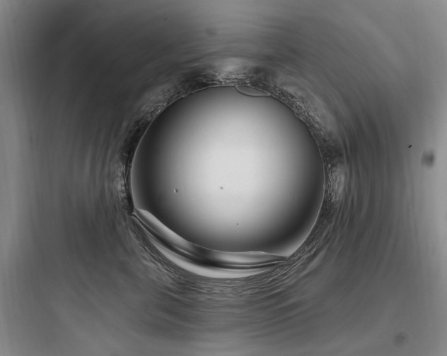 X0000097970571200803241238