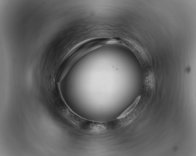 X0000097970572200803241238