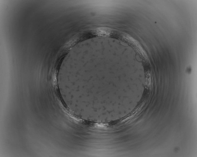 X0000097970573200803241238