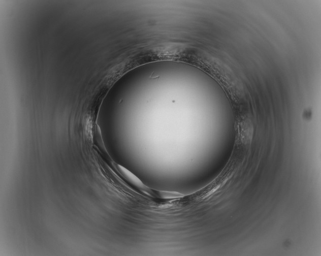 X0000097970575200803241238