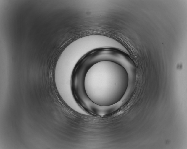 X0000097970576200803241238