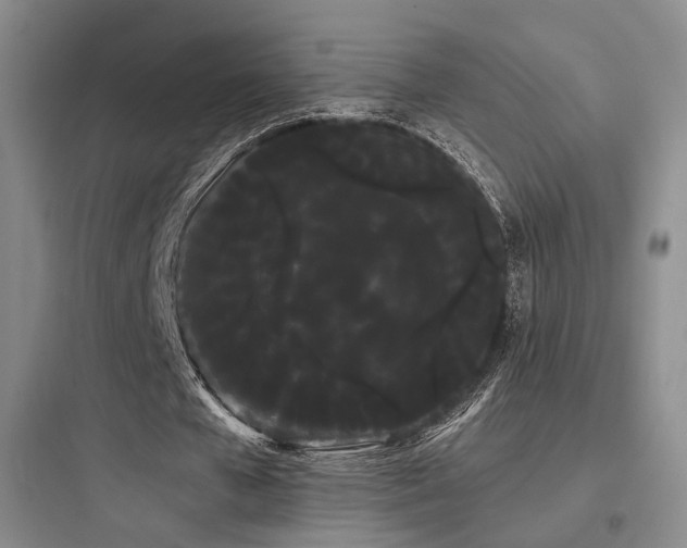 X0000097970577200803241237