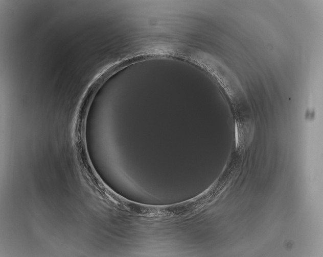 X0000097970579200803241237