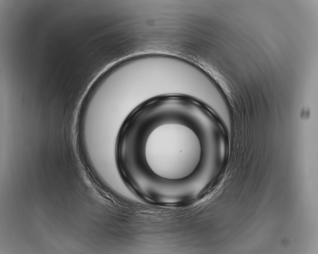 X0000097970580200803241237