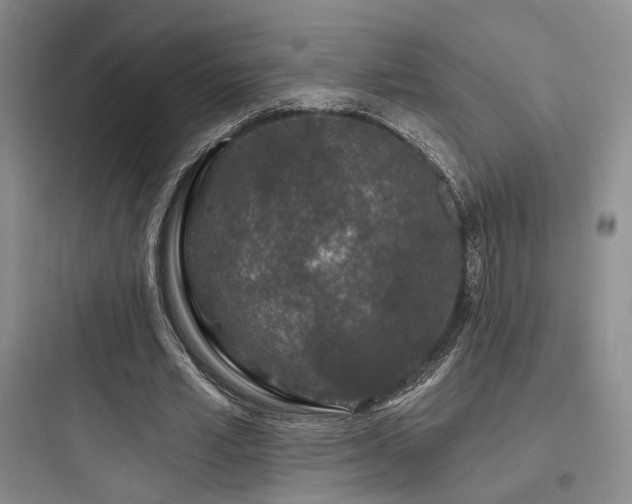 X0000097970581200803241237