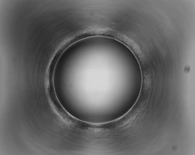 X0000097970582200803241237