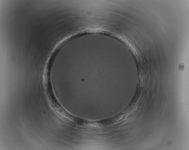 X0000097970583200803241237