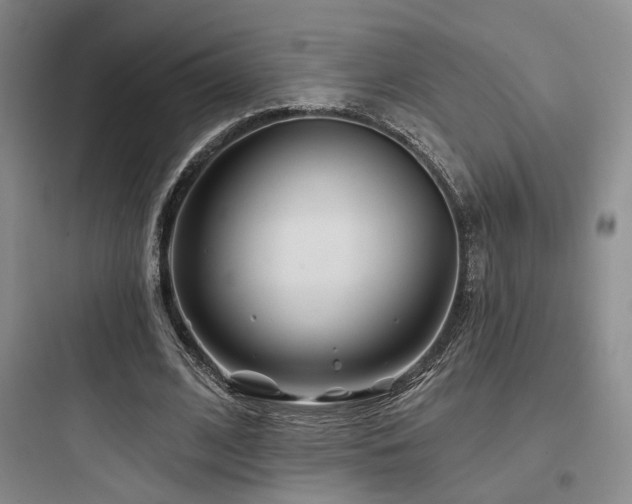 X0000097970584200803241237