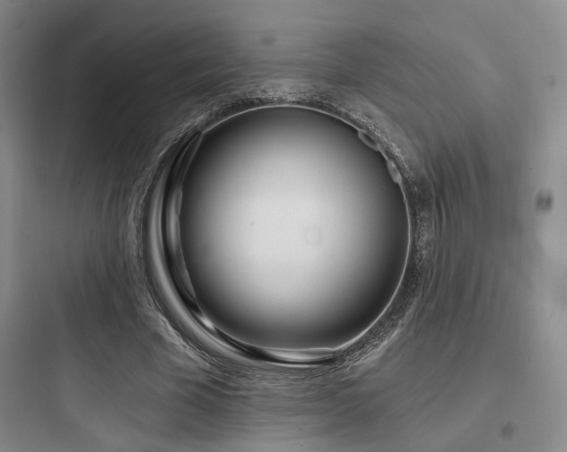 X0000097970585200803241237