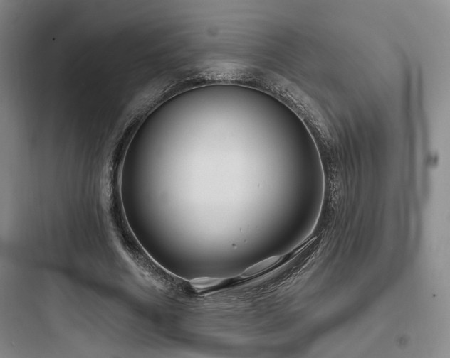 X0000097970586200803241237