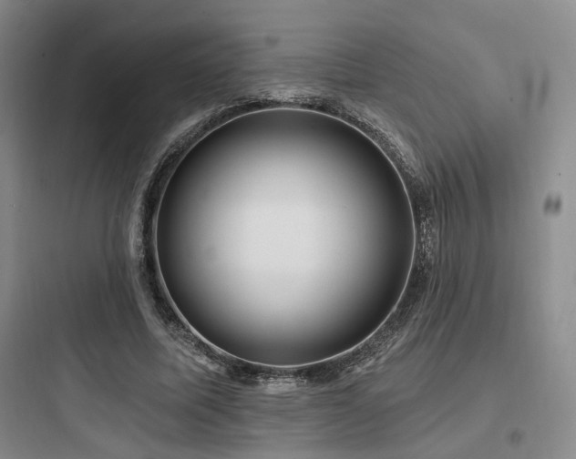 X0000097970587200803241237