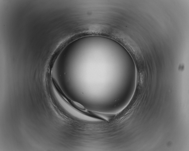 X0000097970588200803241237