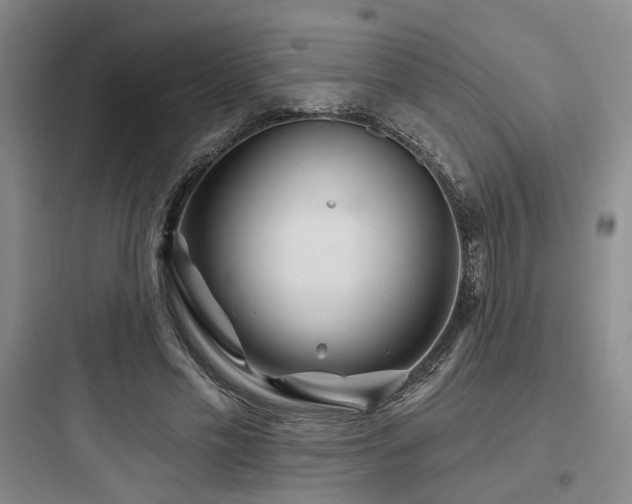X0000097970589200803241237