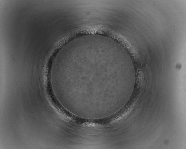 X0000097970590200803241237