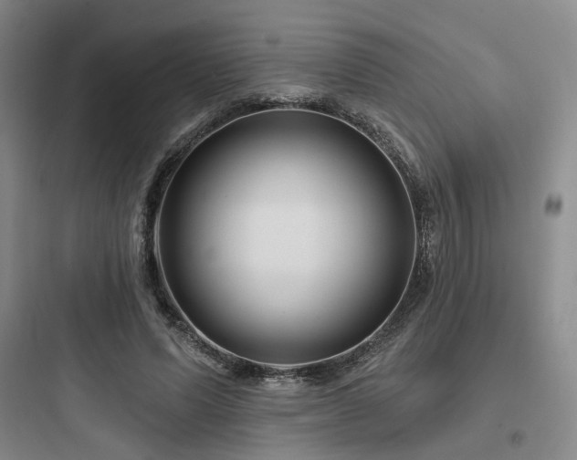 X0000097970591200803241237