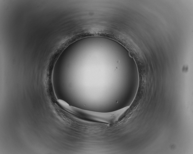 X0000097970592200803241237