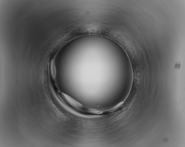 X0000097970593200803241237