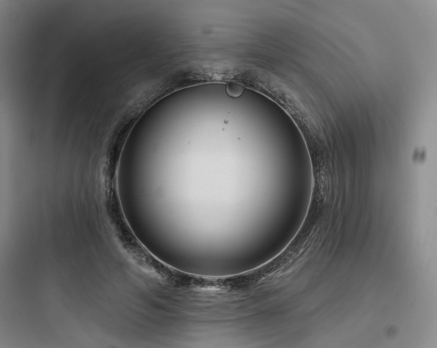 X0000097970594200803241237