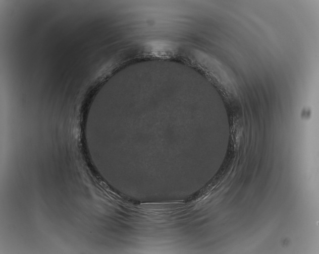 X0000097970595200803241237