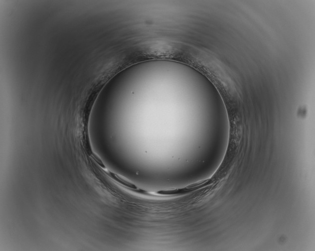 X0000097970597200803241237