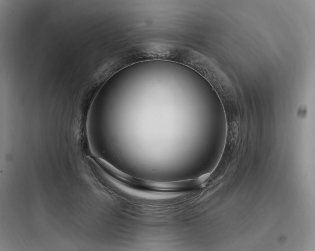 X0000097970600200803241237