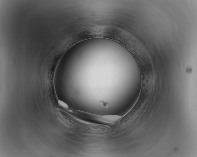 X0000097970601200803241237