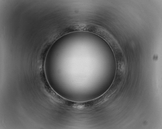 X0000097970602200803241237