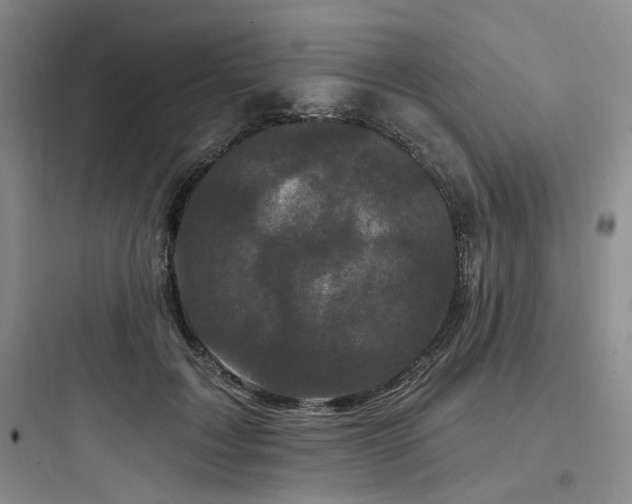 X0000097970603200803241237