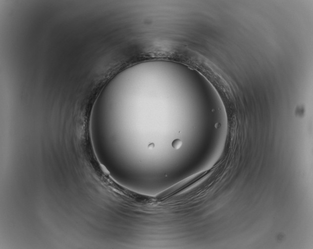 X0000097970604200803241237