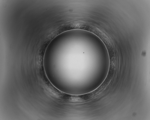X0000097970605200803241237