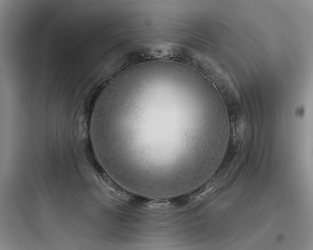 X0000097970606200803241237