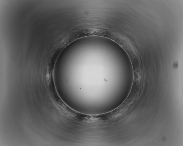 X0000097970607200803241237