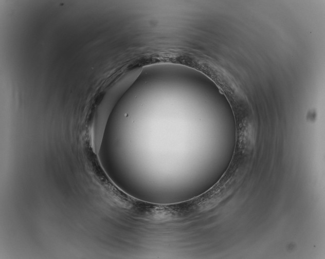 X0000097970608200803241237